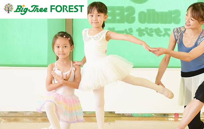 スクールの画像