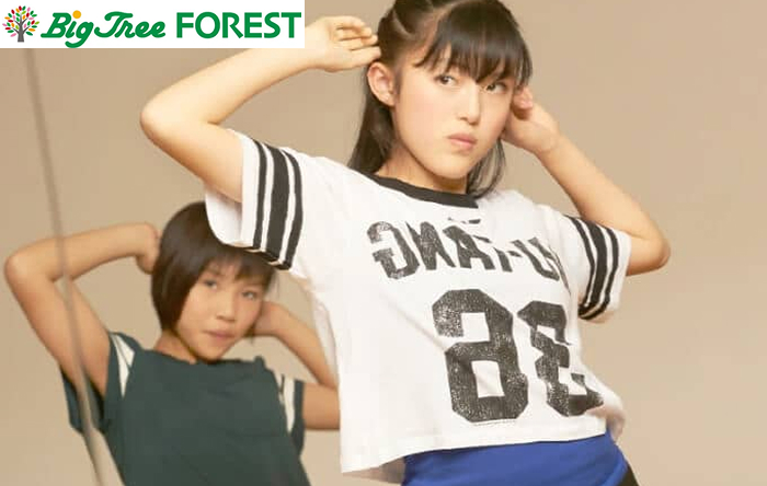 スクールの画像