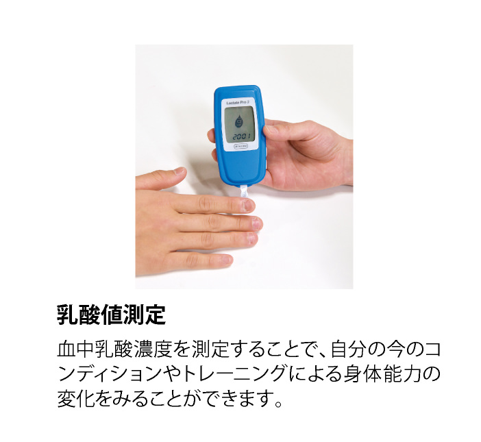 乳酸値測定