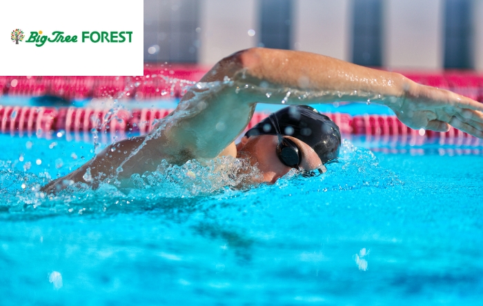 見出しが入ります見出しが入ります見出しが入ります